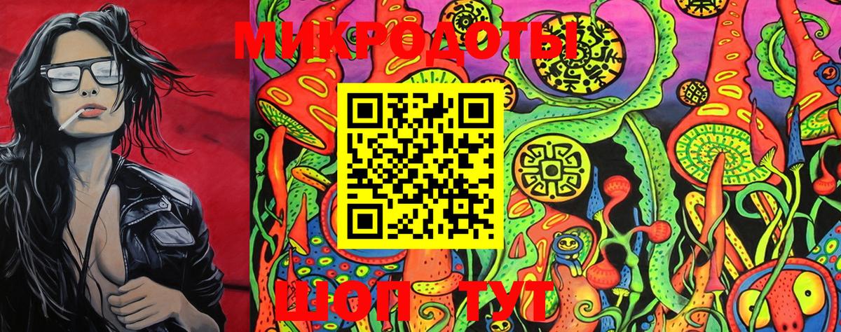 Псилоцибиновые грибы Psilocybe Лысьва